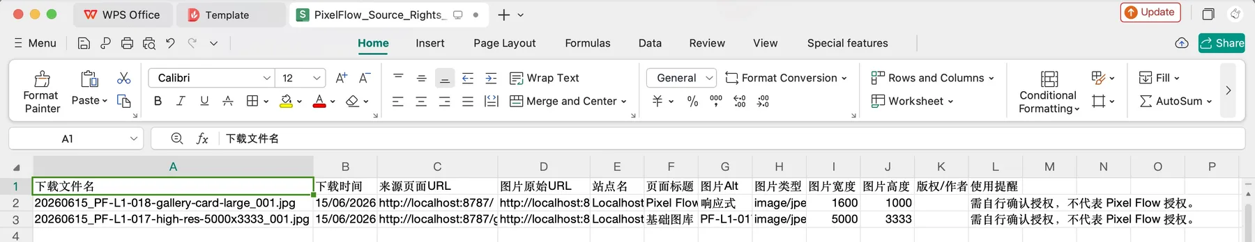 Pixel Flow exported Source and Rights Clue Records Excel file